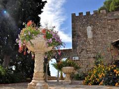 183 HYERES ET SES PALMIERS D02_000010